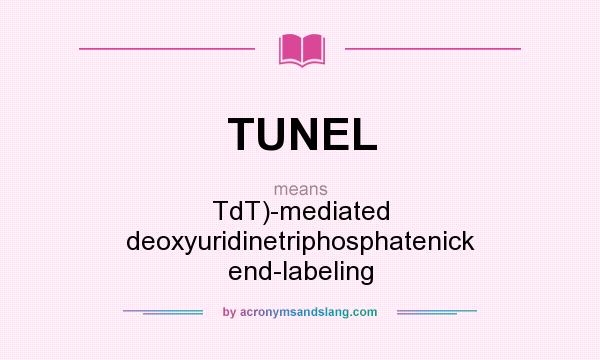 What does TUNEL mean? It stands for TdT)-mediated deoxyuridinetriphosphatenick end-labeling