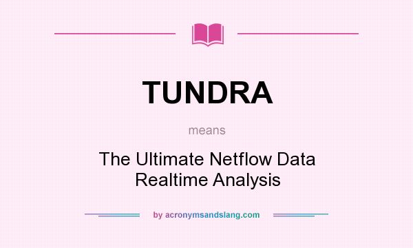 What does TUNDRA mean? It stands for The Ultimate Netflow Data Realtime Analysis