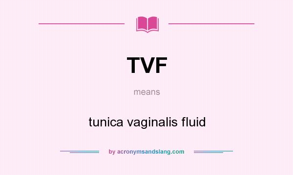 What does TVF mean? It stands for tunica vaginalis fluid