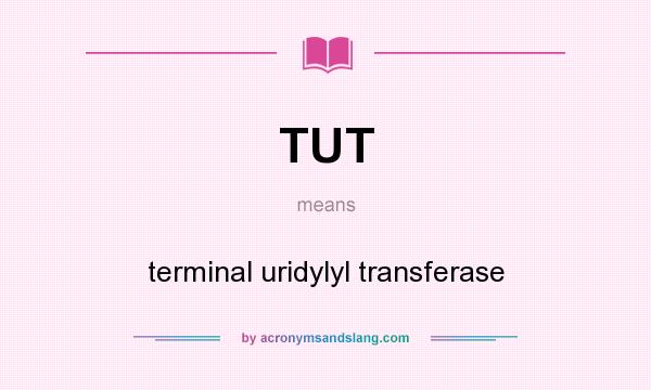 What does TUT mean? It stands for terminal uridylyl transferase