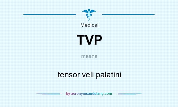 What does TVP mean? It stands for tensor veli palatini