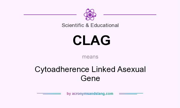 What does CLAG mean? It stands for Cytoadherence Linked Asexual Gene