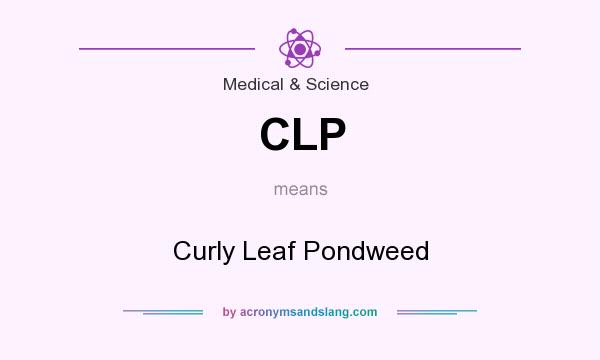 What does CLP mean? It stands for Curly Leaf Pondweed