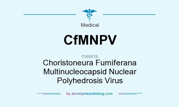 What does CfMNPV mean? It stands for Choristoneura Fumiferana Multinucleocapsid Nuclear Polyhedrosis Virus