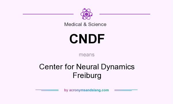 What does CNDF mean? It stands for Center for Neural Dynamics Freiburg