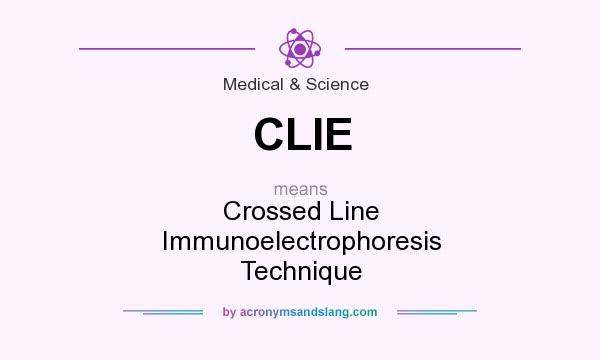 What does CLIE mean? It stands for Crossed Line Immunoelectrophoresis Technique