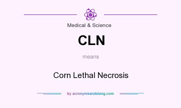 What does CLN mean? It stands for Corn Lethal Necrosis