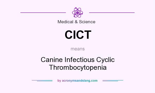 What does CICT mean? It stands for Canine Infectious Cyclic Thrombocytopenia