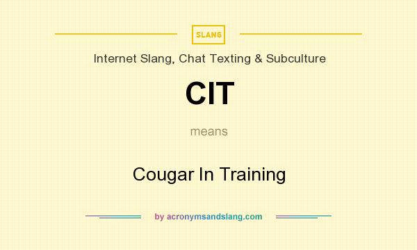 Mean what in slang does cougar 20 Lesbian