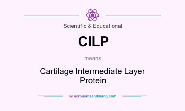 What does CILP mean? It stands for Cartilage Intermediate Layer Protein