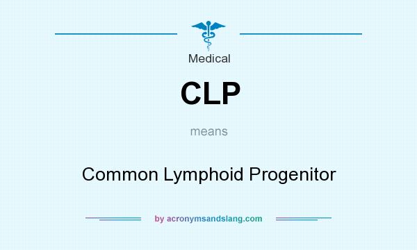 What does CLP mean? It stands for Common Lymphoid Progenitor