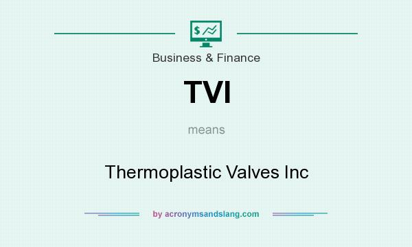 What does TVI mean? It stands for Thermoplastic Valves Inc