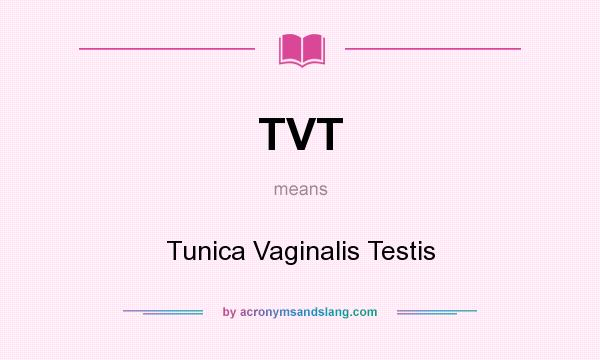 What does TVT mean? It stands for Tunica Vaginalis Testis
