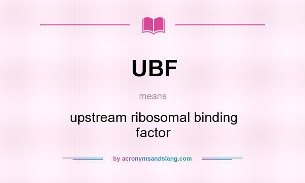 What does UBF mean? It stands for upstream ribosomal binding factor