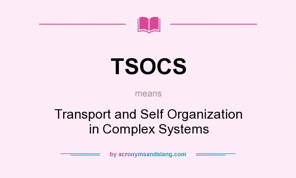 What does TSOCS mean? It stands for Transport and Self Organization in Complex Systems
