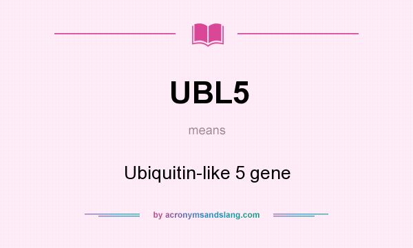 What does UBL5 mean? It stands for Ubiquitin-like 5 gene