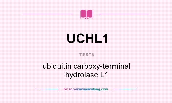 What does UCHL1 mean? It stands for ubiquitin carboxy-terminal hydrolase L1