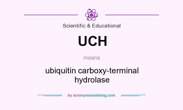 What does UCH mean? It stands for ubiquitin carboxy-terminal hydrolase