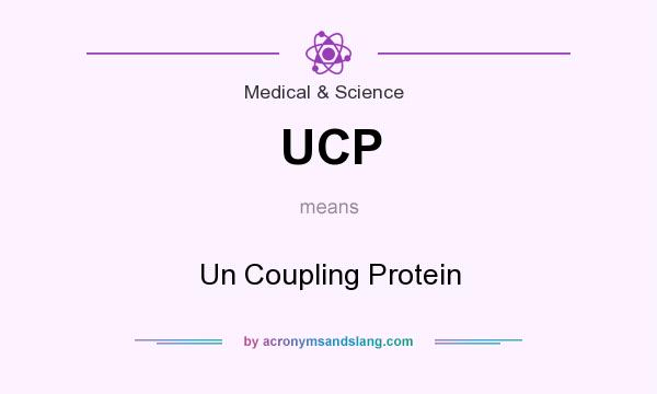 What does UCP mean? It stands for Un Coupling Protein
