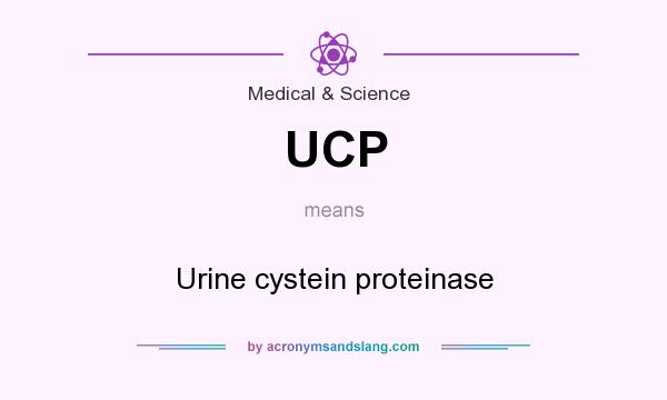 What does UCP mean? It stands for Urine cystein proteinase