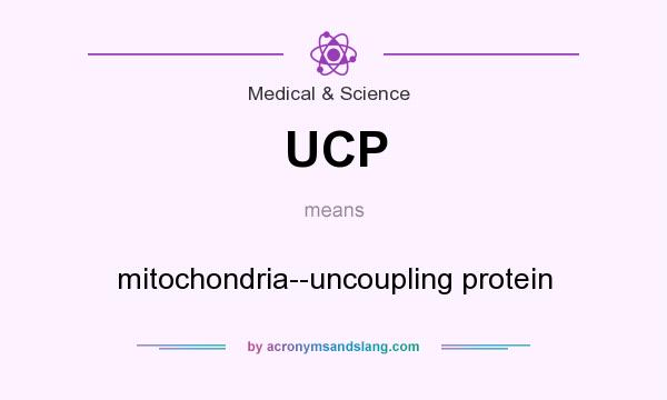 What does UCP mean? It stands for mitochondria--uncoupling protein