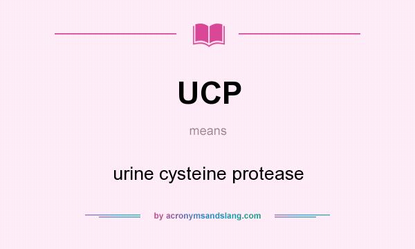 What does UCP mean? It stands for urine cysteine protease
