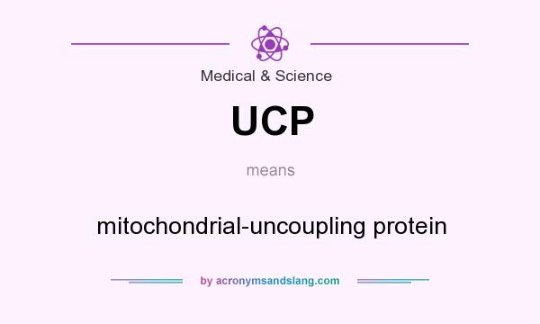 What does UCP mean? It stands for mitochondrial-uncoupling protein