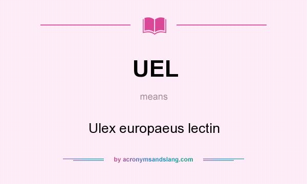 What does UEL mean? It stands for Ulex europaeus lectin