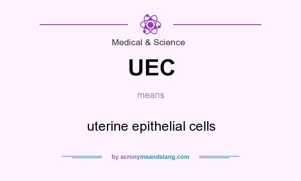 What does UEC mean? It stands for uterine epithelial cells