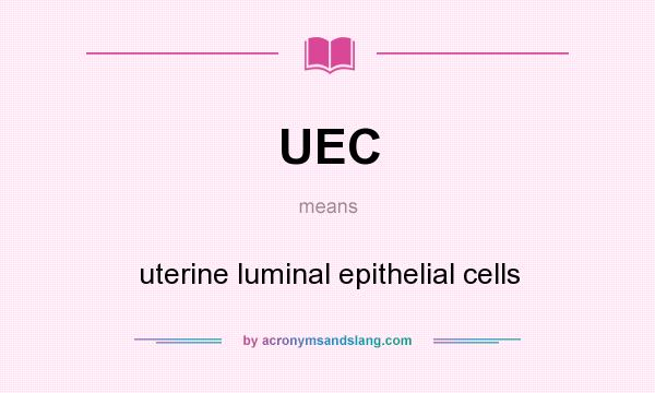 What does UEC mean? It stands for uterine luminal epithelial cells