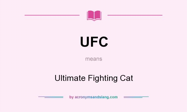What does UFC mean? It stands for Ultimate Fighting Cat