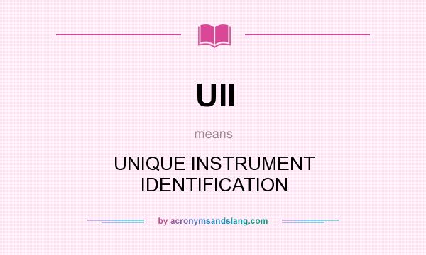 What does UII mean? It stands for UNIQUE INSTRUMENT IDENTIFICATION