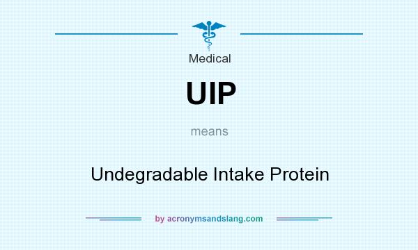 What does UIP mean? It stands for Undegradable Intake Protein