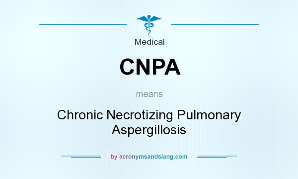What does CNPA mean? It stands for Chronic Necrotizing Pulmonary Aspergillosis