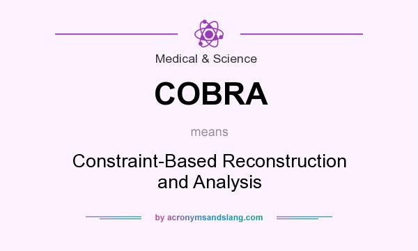 What does COBRA mean? It stands for Constraint-Based Reconstruction and Analysis