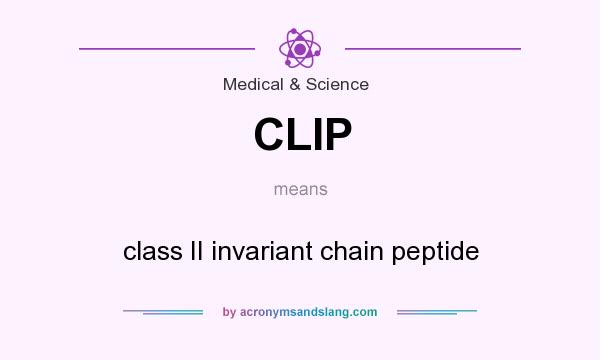 What does CLIP mean? It stands for class II invariant chain peptide