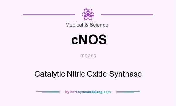 What does cNOS mean? It stands for Catalytic Nitric Oxide Synthase