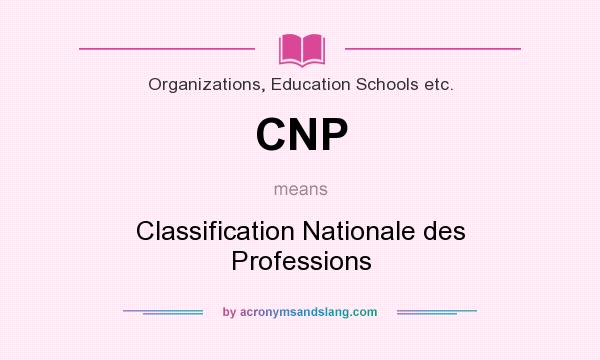 What does CNP mean? It stands for Classification Nationale des Professions