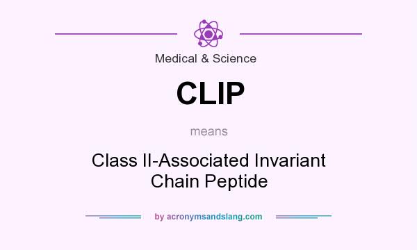 What does CLIP mean? It stands for Class II-Associated Invariant Chain Peptide