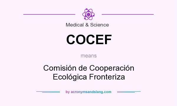 What does COCEF mean? It stands for Comisión de Cooperación Ecológica Fronteriza