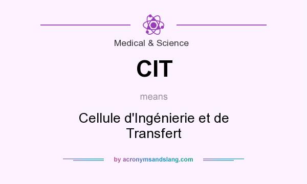 What does CIT mean? It stands for Cellule d`Ingénierie et de Transfert