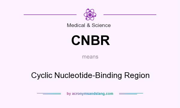 What does CNBR mean? It stands for Cyclic Nucleotide-Binding Region