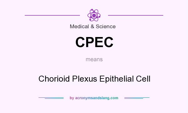 What does CPEC mean? It stands for Chorioid Plexus Epithelial Cell