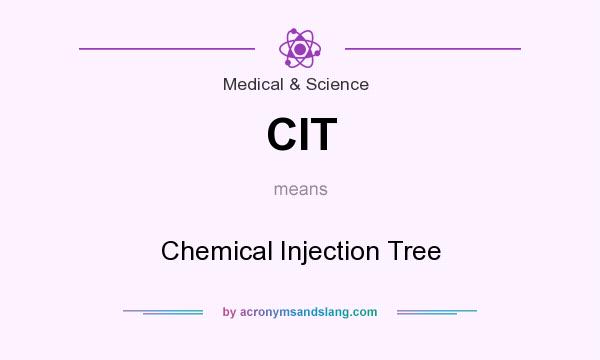 What does CIT mean? It stands for Chemical Injection Tree