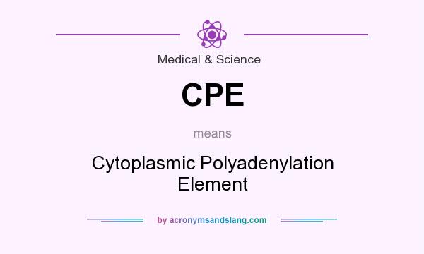 What does CPE mean? It stands for Cytoplasmic Polyadenylation Element