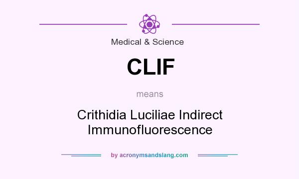 What does CLIF mean? It stands for Crithidia Luciliae Indirect Immunofluorescence