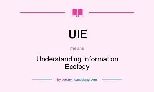 What does UIE mean? It stands for Understanding Information Ecology