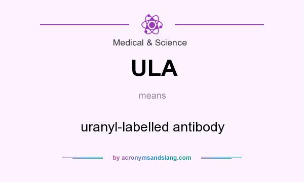 What does ULA mean? It stands for uranyl-labelled antibody