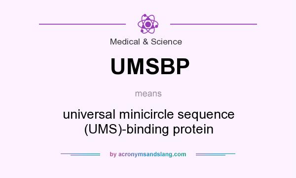 What does UMSBP mean? It stands for universal minicircle sequence (UMS)-binding protein