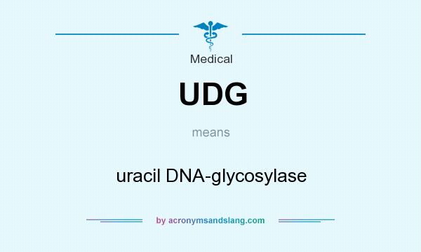 What does UDG mean? It stands for uracil DNA-glycosylase